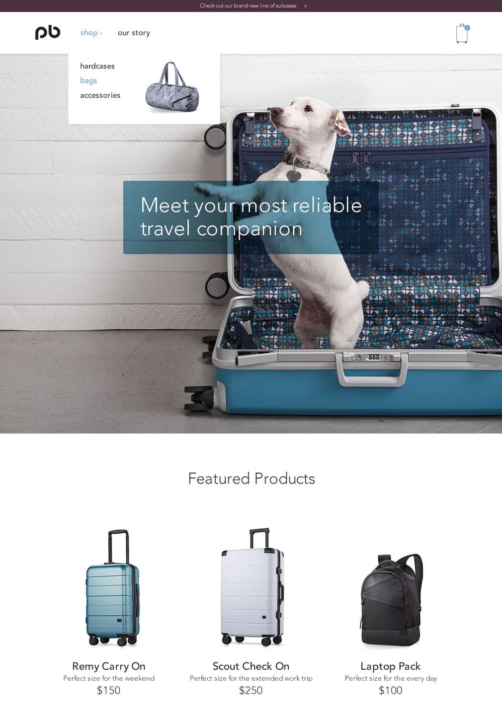 Image of PB website homepage